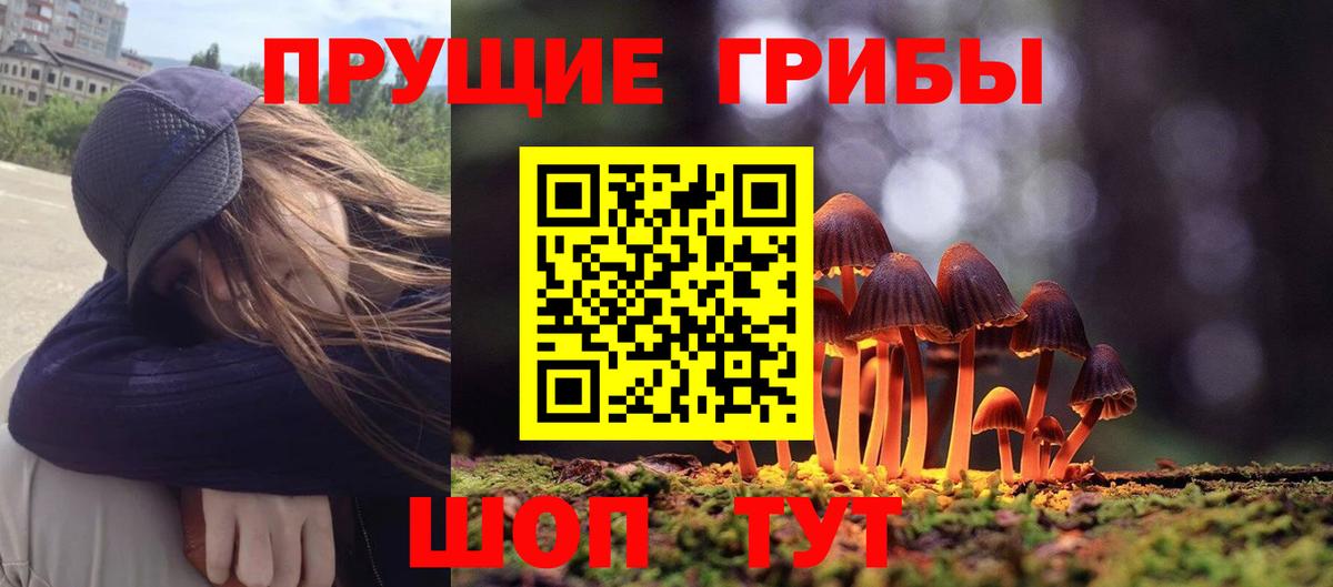 Советский  Псилоцибиновые грибы Cubensis  Псилоцибиновые грибы прущие грибы  наркотики  Вход с VPN 