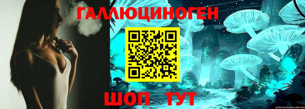 Псилоцибиновые грибы Psilocybe Советский